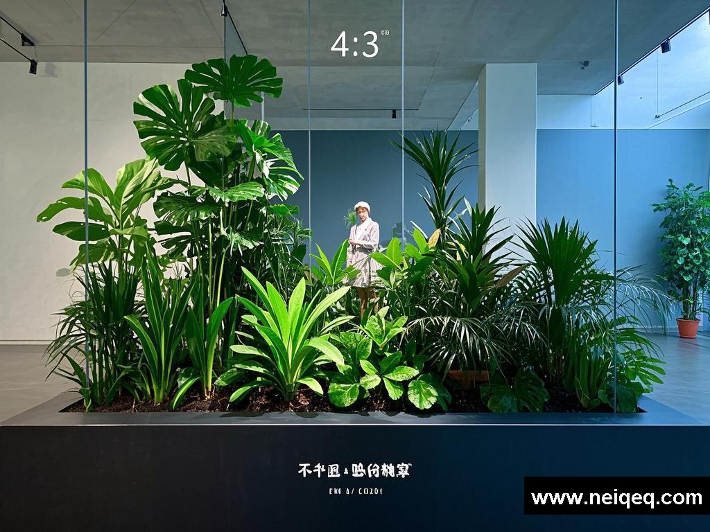 《别样展示中的情感故事》